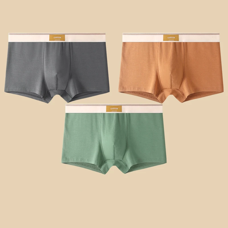 Cotton Theory Men’s Boxer Brief Set